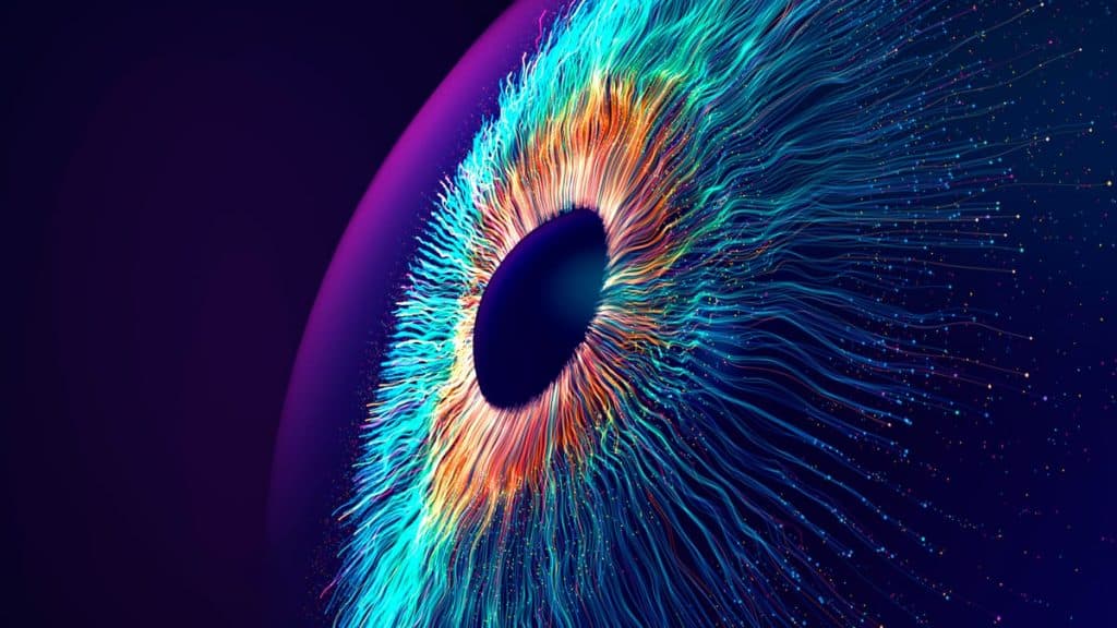 This is an image uploaded via the WordPress REST API.