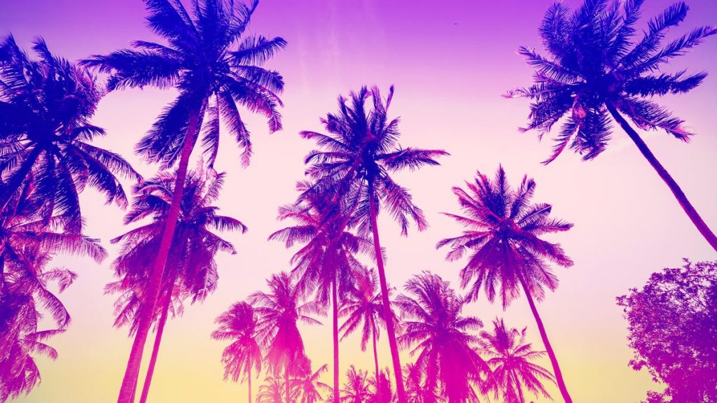 This is an image uploaded via the WordPress REST API.