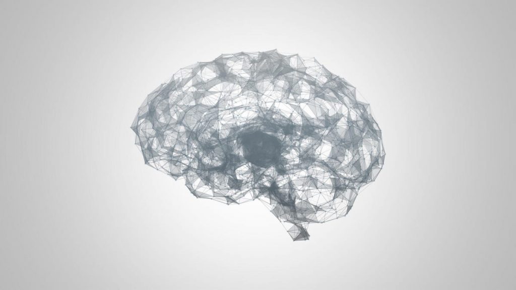 This is an image uploaded via the WordPress REST API.
