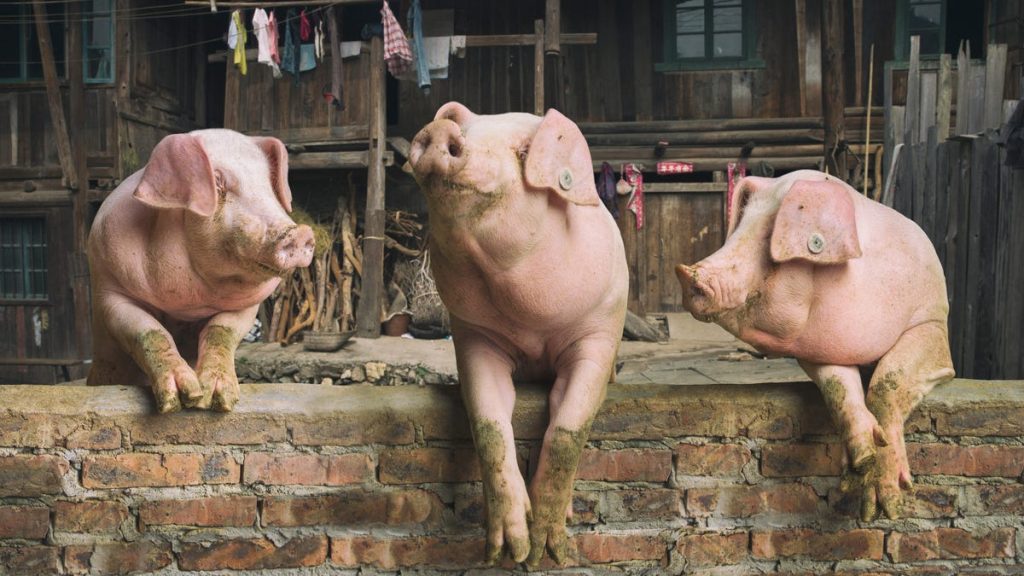 This is an image uploaded via the WordPress REST API.