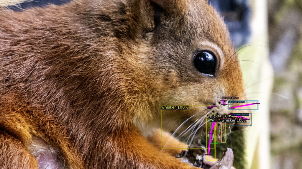 This is an image uploaded via the WordPress REST API.