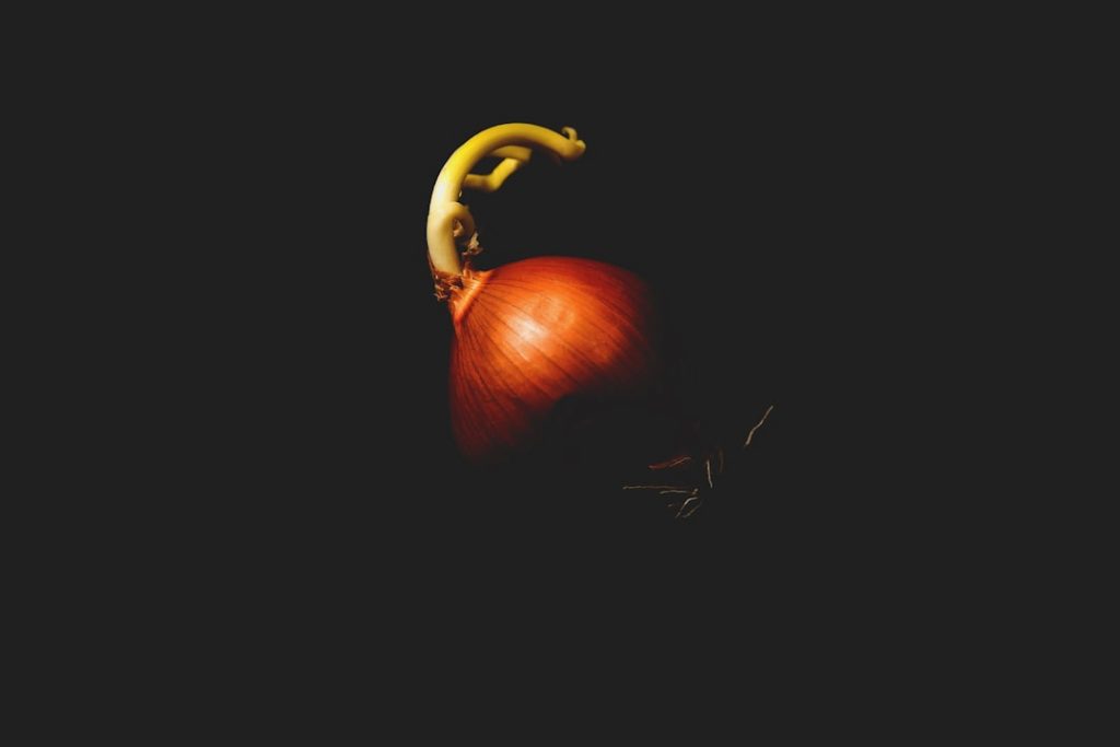 This is an image uploaded via the WordPress REST API.