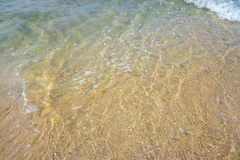 This is an image uploaded via the WordPress REST API.