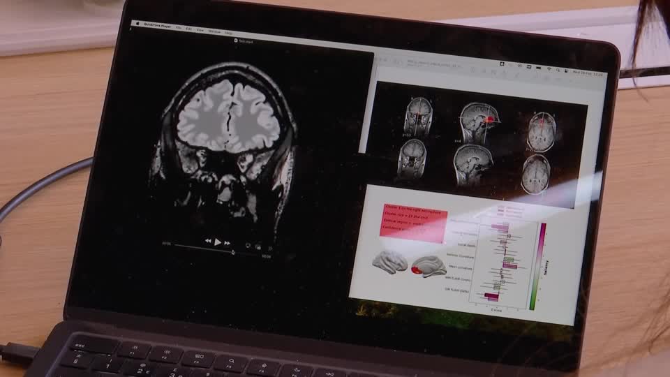 This is an image uploaded via the WordPress REST API.