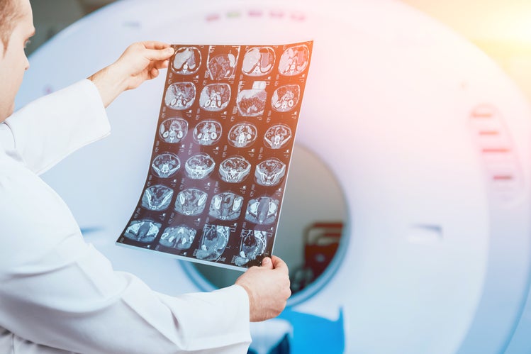 This is an image uploaded via the WordPress REST API.