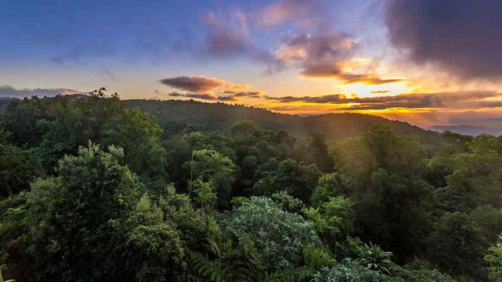 This is an image uploaded via the WordPress REST API.