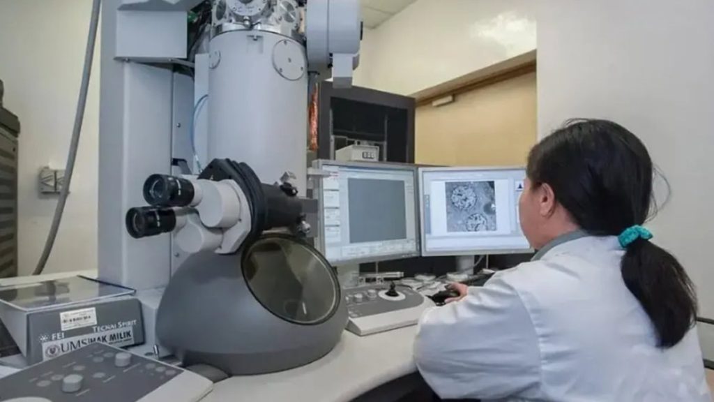 This is an image uploaded via the WordPress REST API.