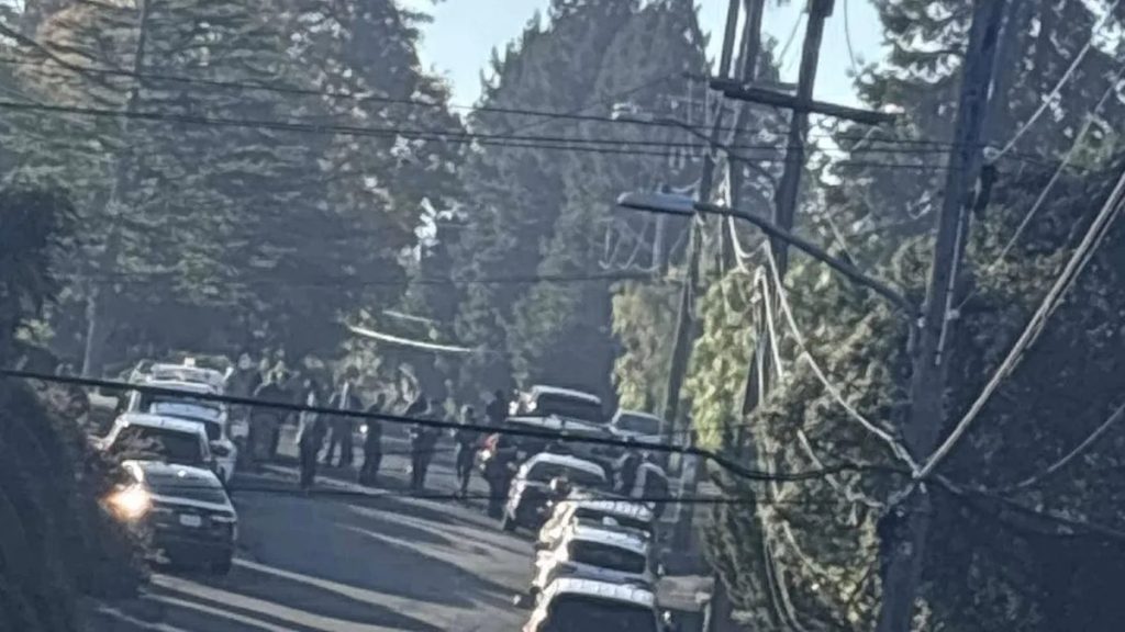 This is an image uploaded via the WordPress REST API.