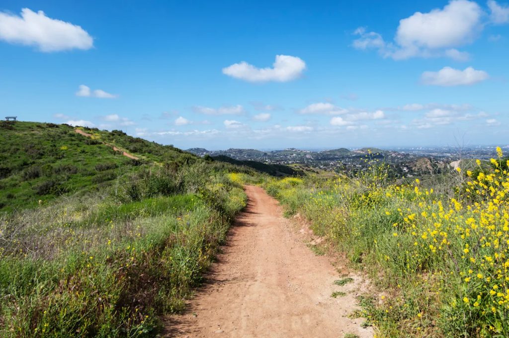 This is an image uploaded via the WordPress REST API.