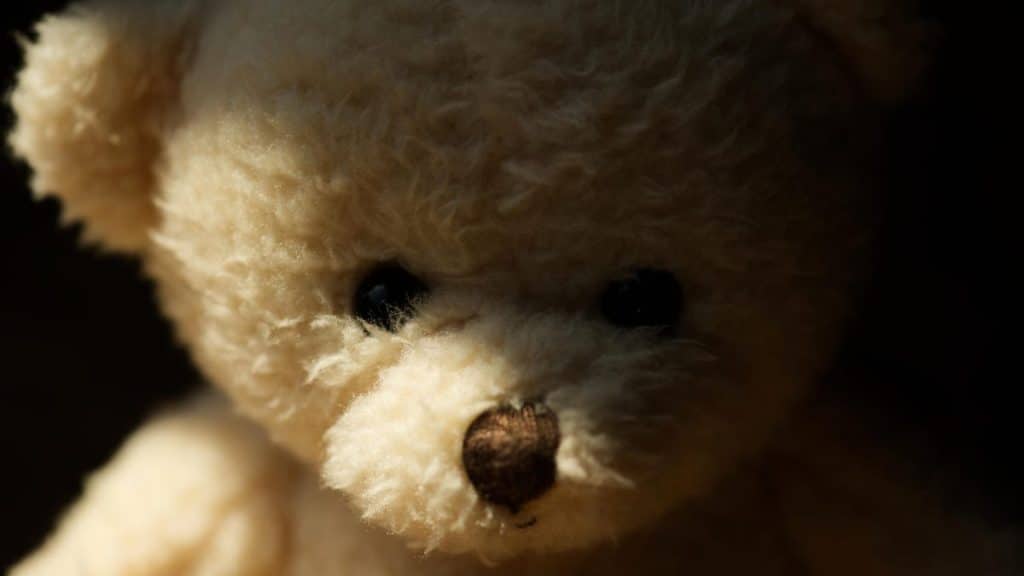 This is an image uploaded via the WordPress REST API.