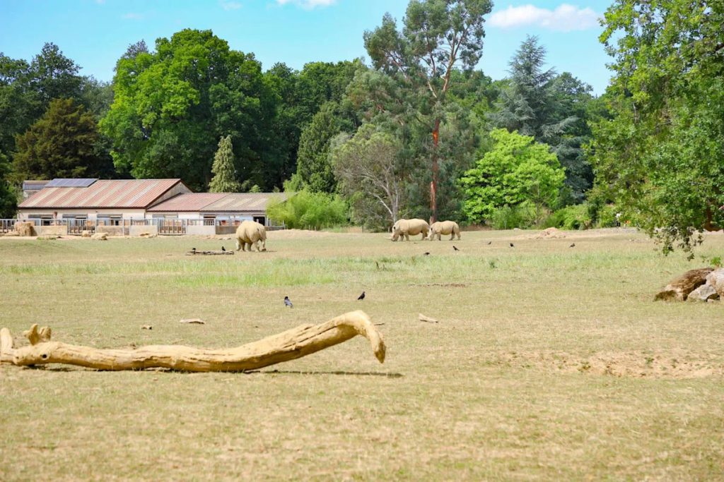 This is an image uploaded via the WordPress REST API.