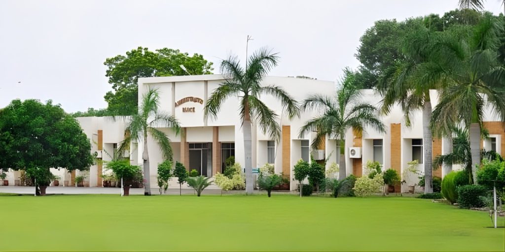 This is an image uploaded via the WordPress REST API.