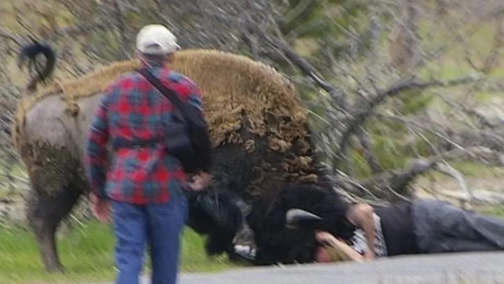 This is an image uploaded via the WordPress REST API.