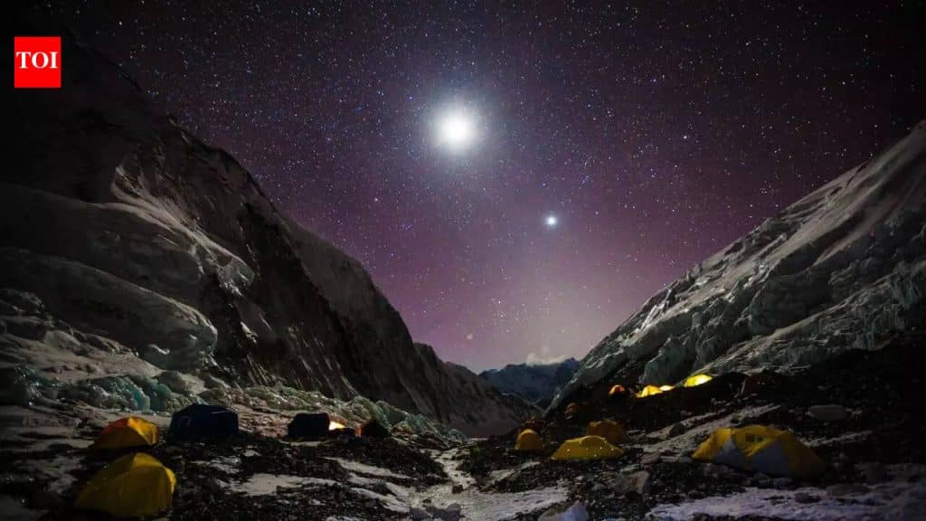 This is an image uploaded via the WordPress REST API.