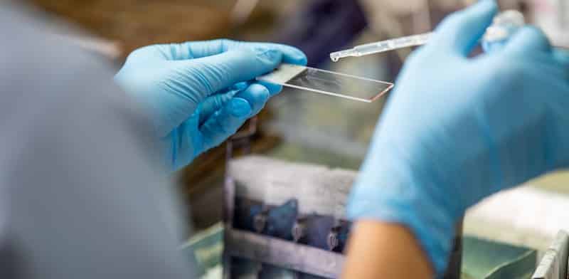 This is an image uploaded via the WordPress REST API.