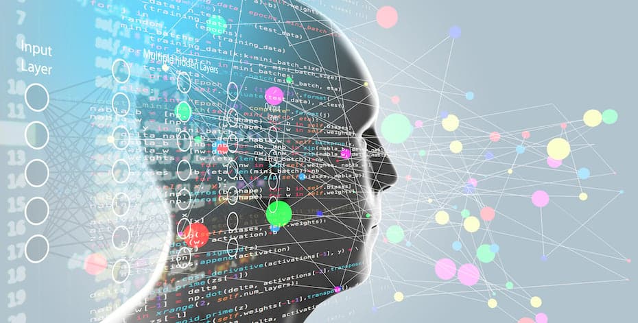 This is an image uploaded via the WordPress REST API.