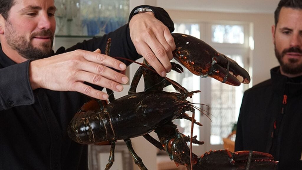 This is an image uploaded via the WordPress REST API.