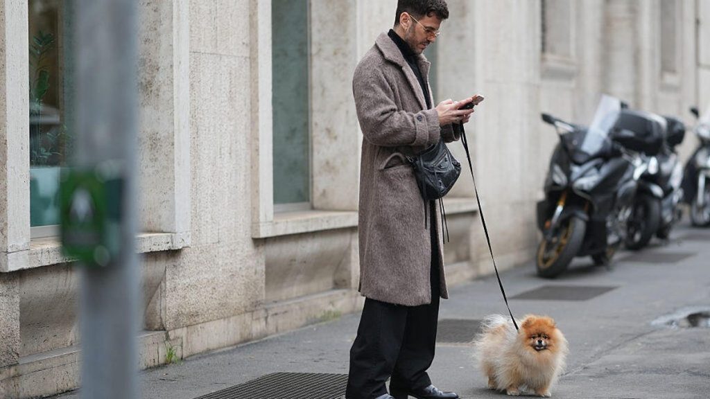 This is an image uploaded via the WordPress REST API.