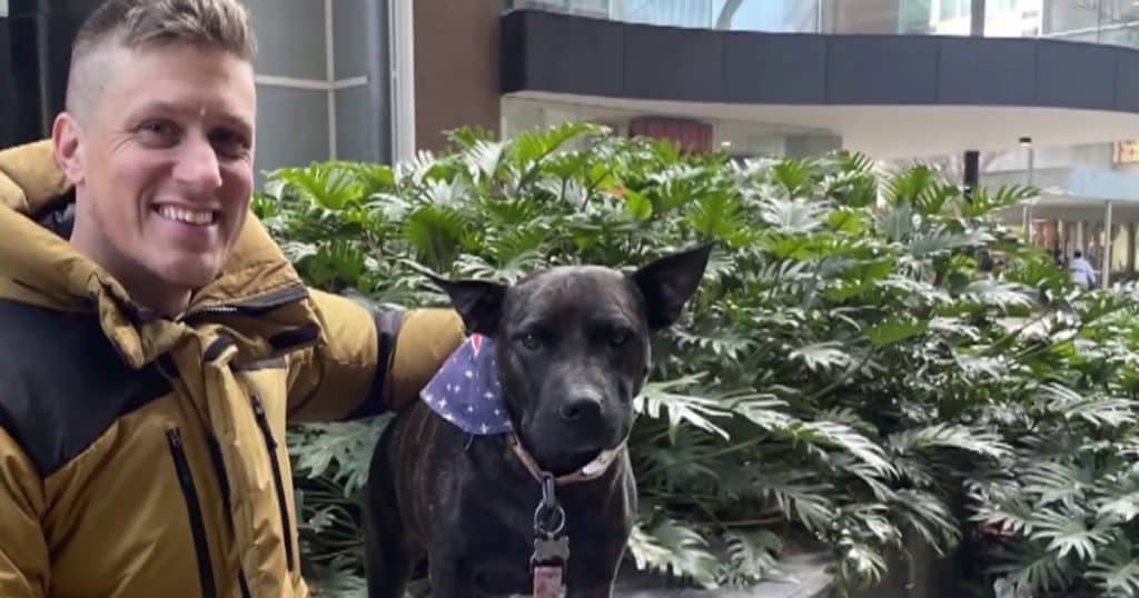 This is an image uploaded via the WordPress REST API.