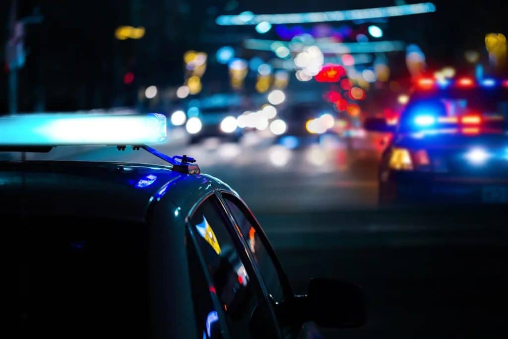 This is an image uploaded via the WordPress REST API.