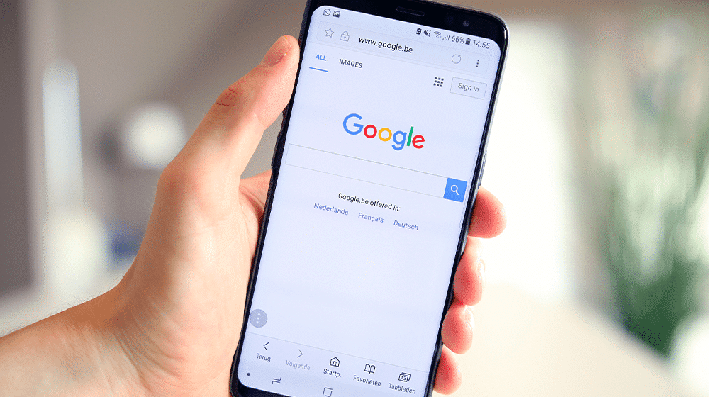 This is an image uploaded via the WordPress REST API.