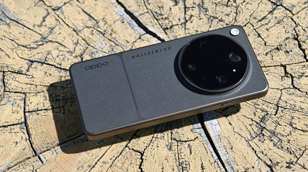 This is an image uploaded via the WordPress REST API.