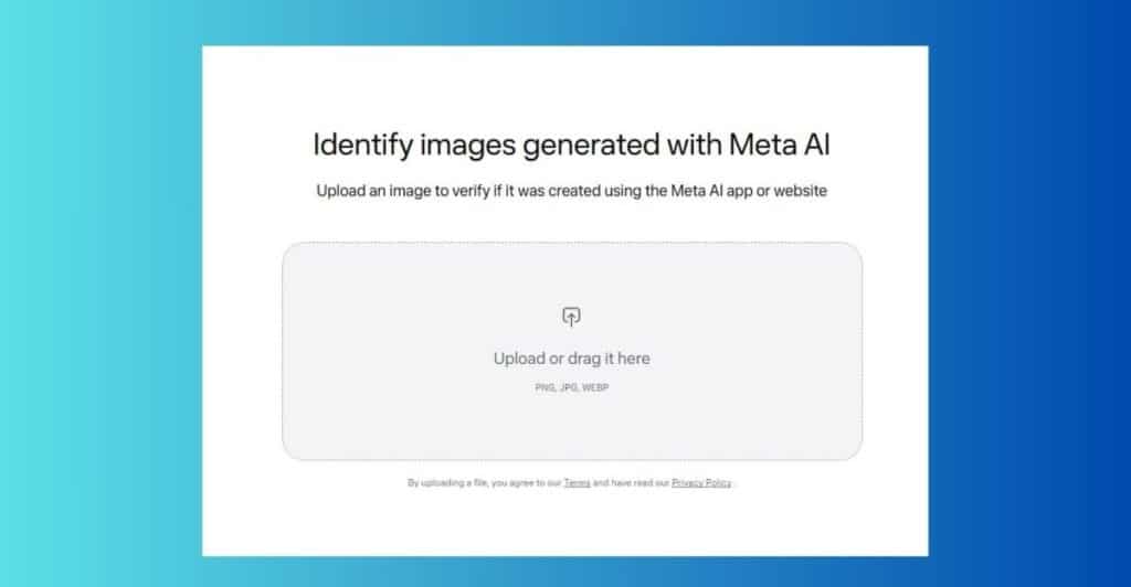 This is an image uploaded via the WordPress REST API.